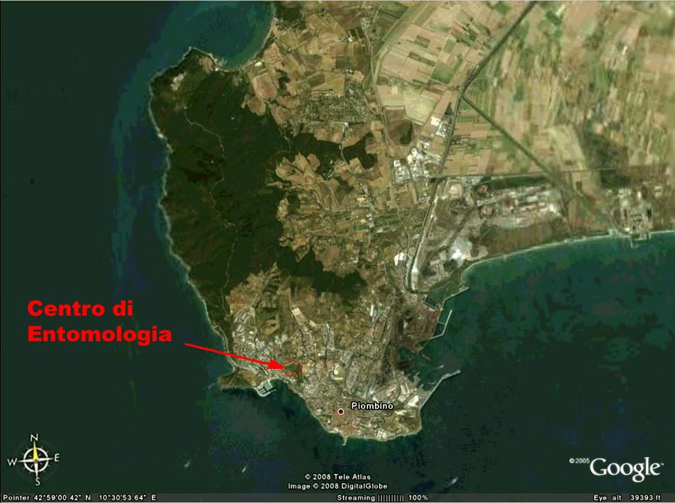 Il Laghetto del Centro di Entomologia - Piombino (LI)